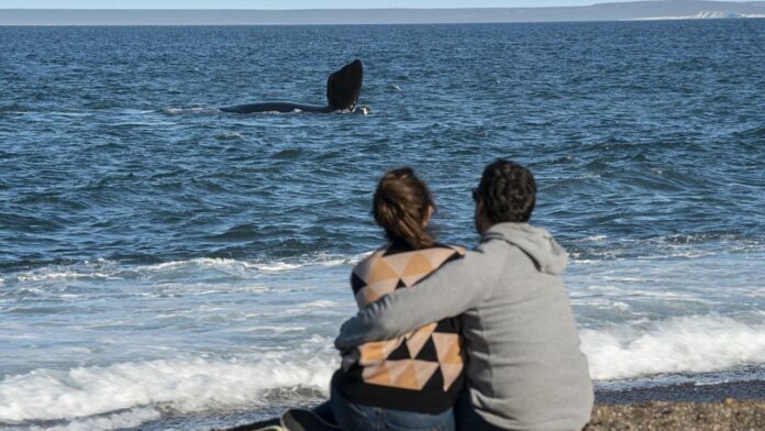 0722madryn-2288866.jpg
