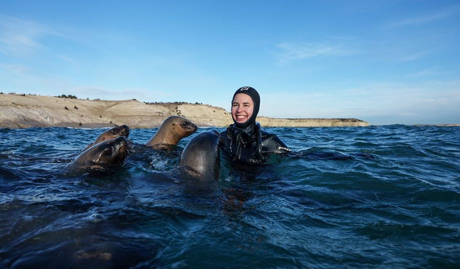 Fauna en Punta Loma