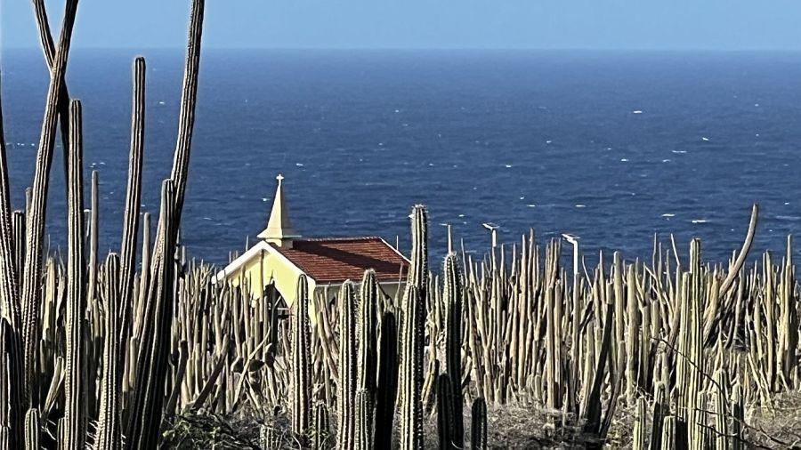 Bodega Alto Vista