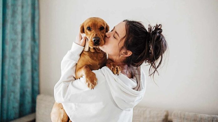 21julio26diadelperro-2287212.jpg