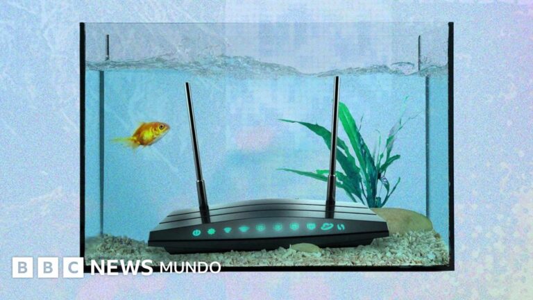 Lo Inesperado que Interfiere con tu Wi-Fi y Cómo Potenciar la Señal