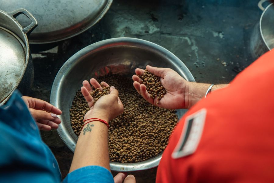 Explorando la gastronomía de Panamá