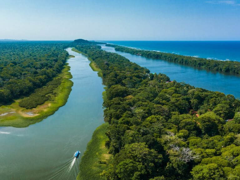 El paraíso centroamericano que seduce a los argentinos: playas, volcanes y fauna única