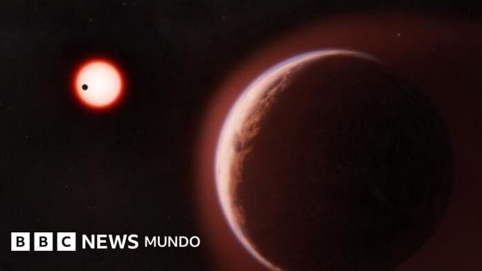 c4d56390-82b0-11f1-b712-c75e4f365ddb.jpg