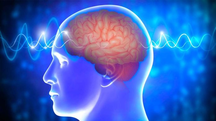 dia-mundial-del-cerebro-22072026-2288754.jpg