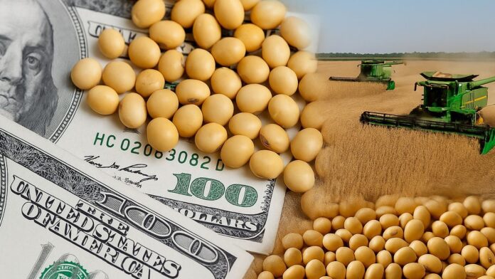 dolar-agro-2075215.jpg