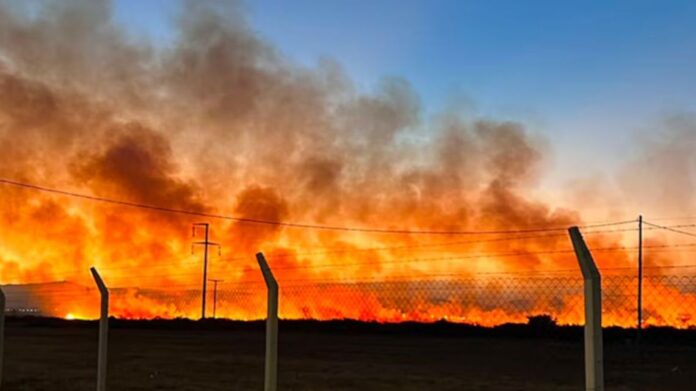 incendio-en-cordoba-2284879.jpg