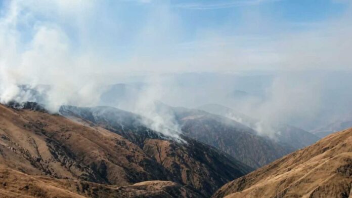 incendio-punta-laja-en-la-localidad-de-nazareno-21072026-2288159.jpg