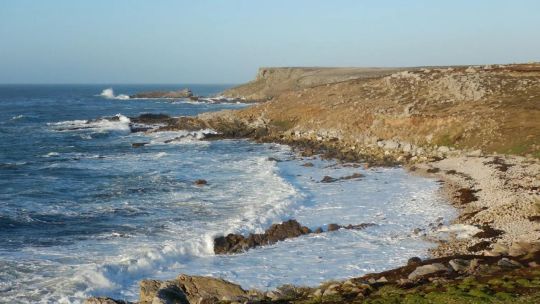 islas-malvinas-2287560.jpg