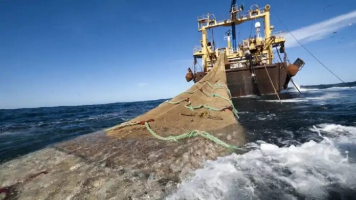 pesca-2216558.jpg