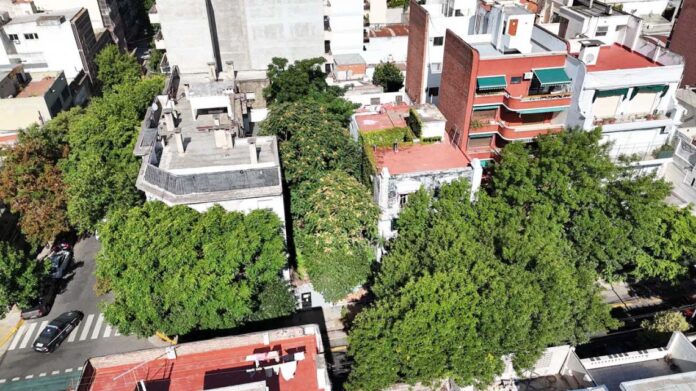 01082026bosqueocultoalmagrogzacolectivorelieveg-2295623.jpg
