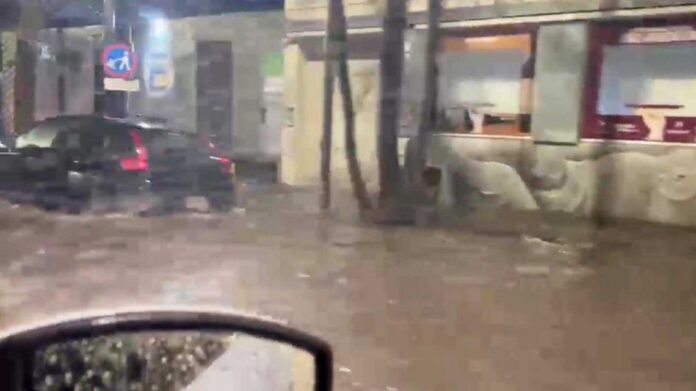 02082026temporalambaredesg-2295938.jpg
