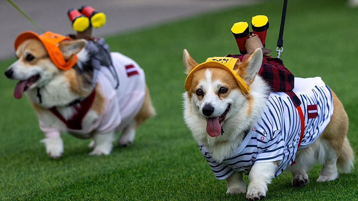 1200x675_cmsv2_b4d399ee-21cf-504e-832d-ea5be12738f6-9876172.jpg