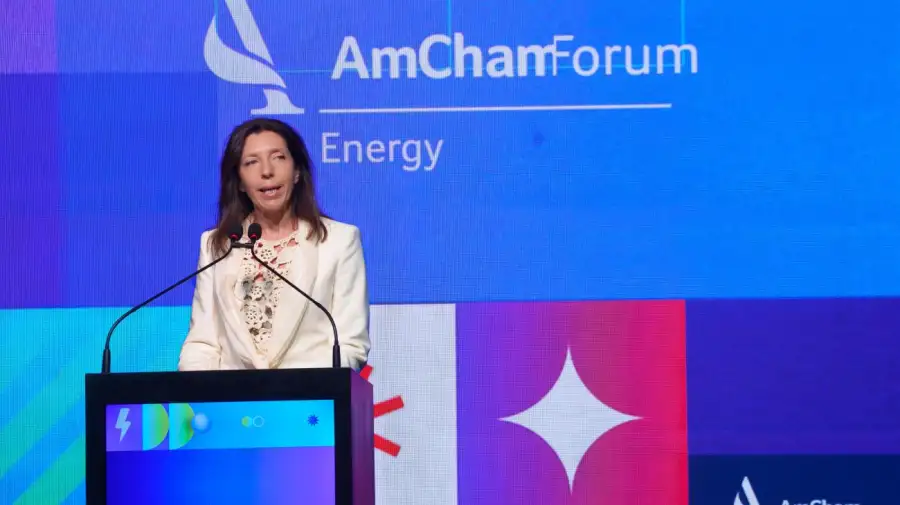 Mariana Schoua, presidenta de Amcham