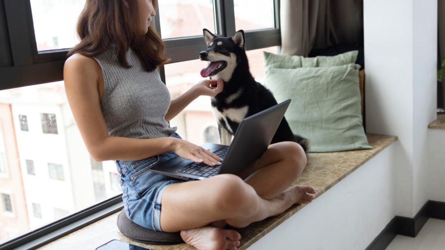 Departamentos aptos para mascotas en CABA