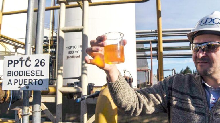 Provincias del Norte buscan promover la ley de biocombustibles