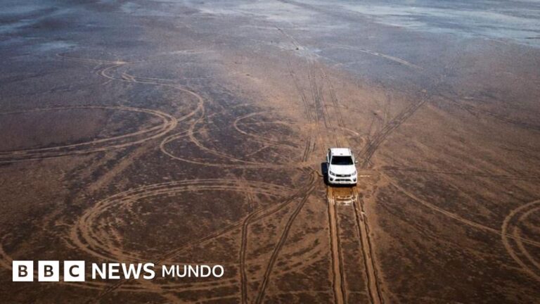 Impactante destrucción ambiental causada por una camioneta en el norte de Argentina