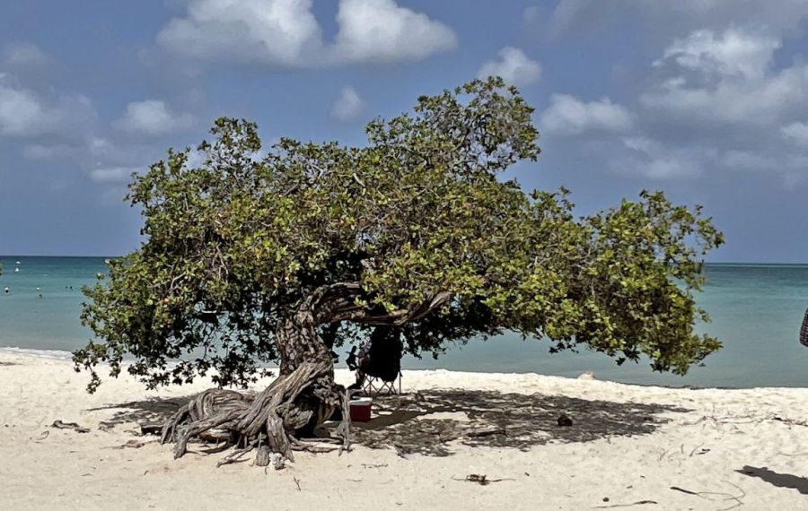 Aruba