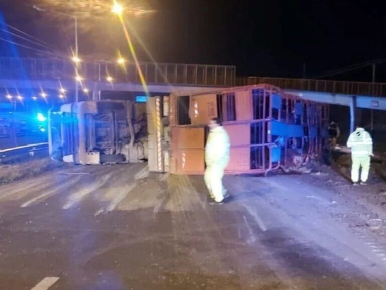 Caos en Rosario: Camión con ganado vuelca y cinco detenidos por faenado