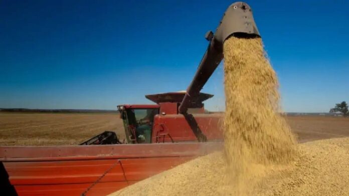 agro-2297710.jpg