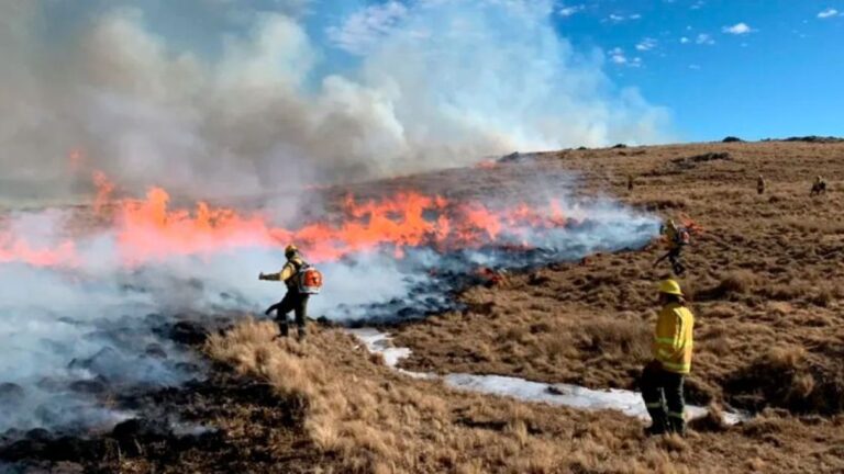 Alto riesgo de incendios en toda la provincia de Córdoba. ¡Precaución!