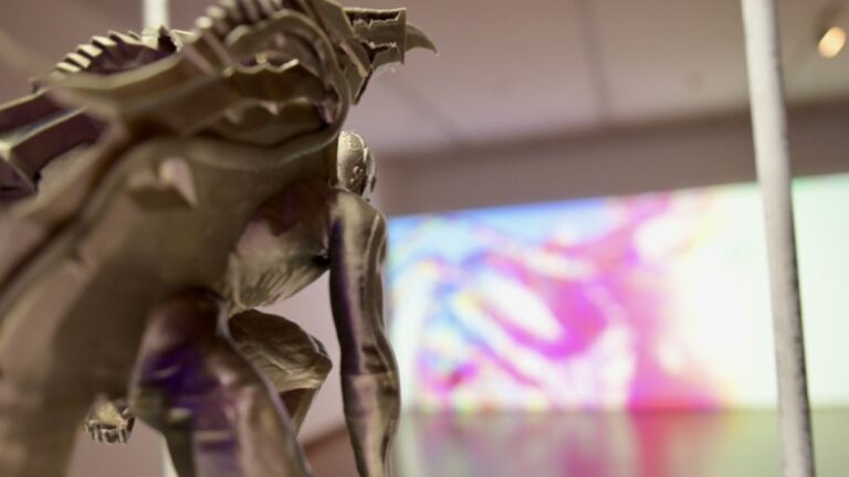 Descubre la exposición «Are You for Real?» en el Museo Caraffa: mitos y realidades del territorio.