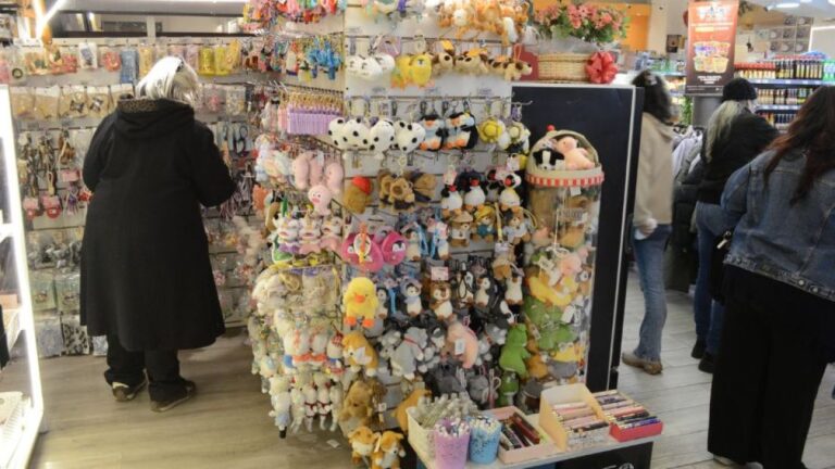 El boom de los bazares chinos : un oasis de crecimiento en tiempos de crisis en el centro de Córdoba