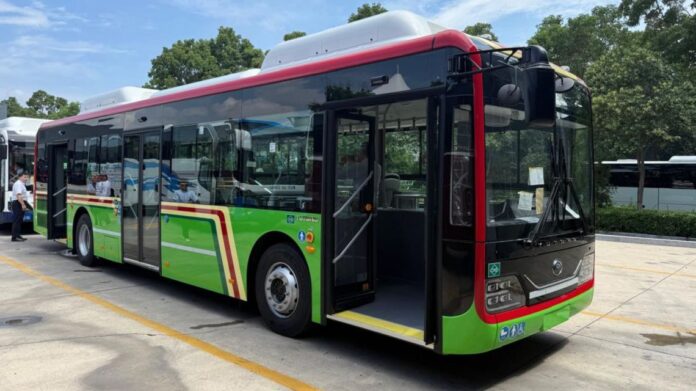 colectivo-2297739.jpg