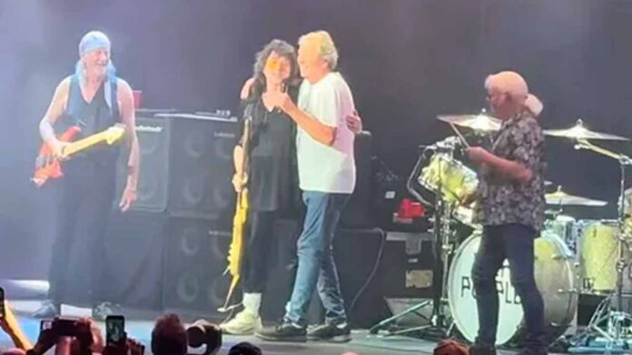 deep-purple-en-ny-2303763.jpg