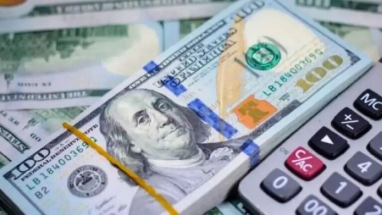Aumento récord de depósitos en dólares: u$s26.541 millones superan al peso