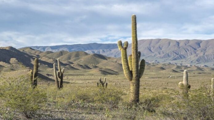 el-parque-nacional-los-cardones-2305813.jpg