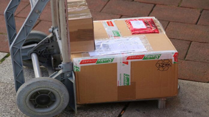 envios-via-courier-20250225-1973986.jpg
