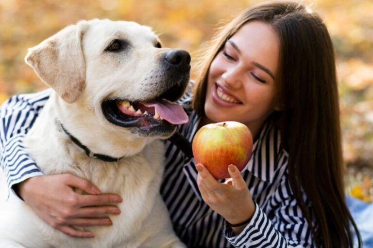 Las 5 frutas seguras para tu perro, según experta veterinaria