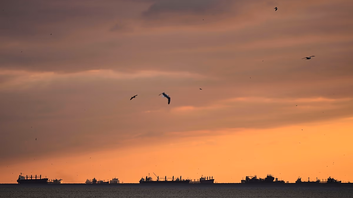 1200x675_cmsv2_64b25271-3170-551e-9962-f10454468e60-9898124.jpg